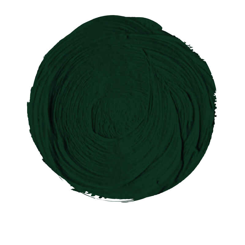 Titán Óleo ExtraFino 200ml Serie 2 Número 69 Color Verde Vejiga