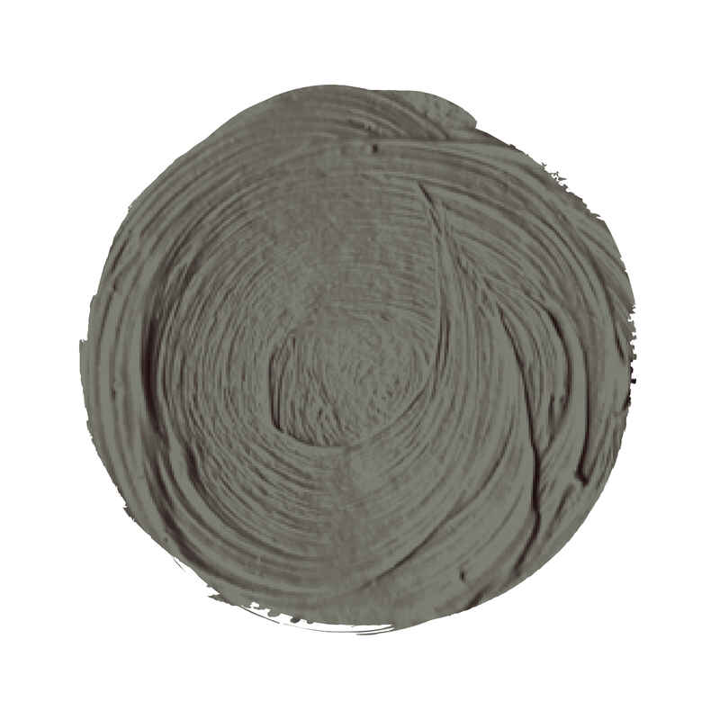 Extra Fine Oil 20ml Series 1 Gray Titan 79