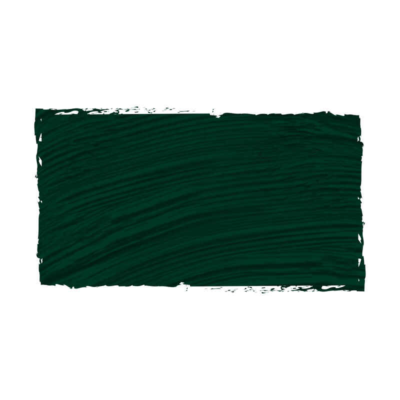 Goya Óleo 20ml Serie 1 Número 97 Color Tierra Verde