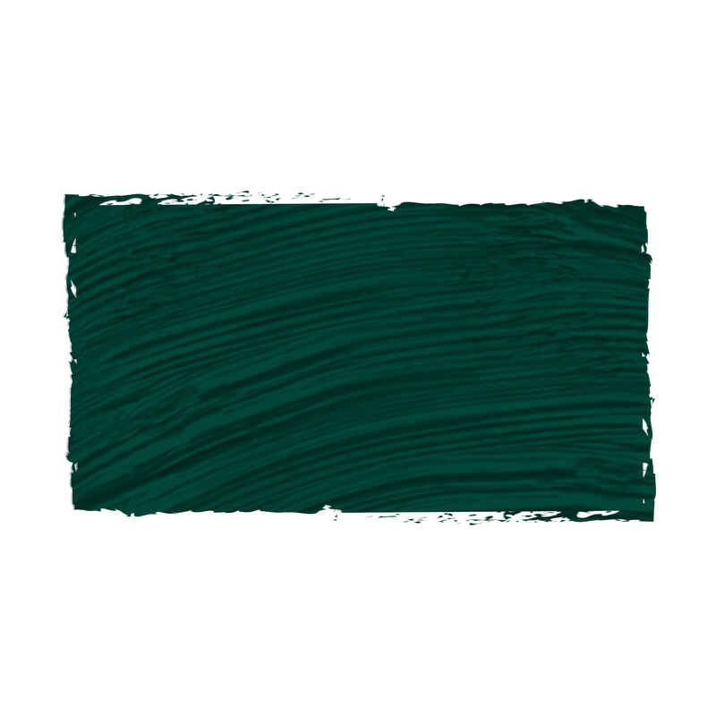 Goya Óleo 20ml Serie 1 Número 71 Color Verde Oscuro Goya