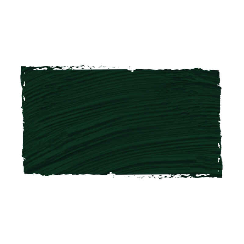 Goya Óleo 200ml Serie 1 Número 69 Color Verde Vejiga