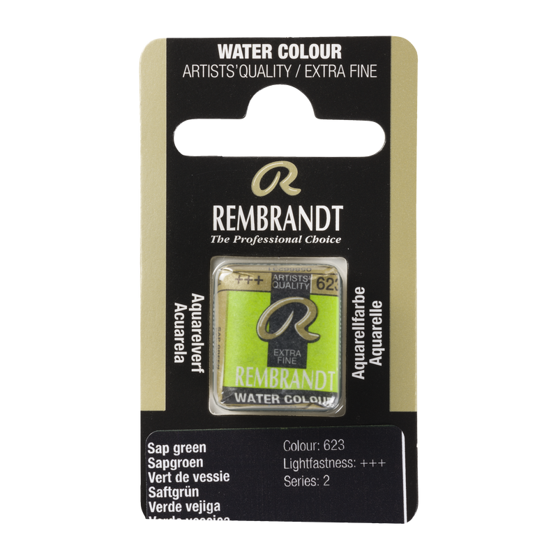 Watercolor Rembrandt Watercolor Pill 1/2 Godet Series 2 No. 623 Color Bladder Green
