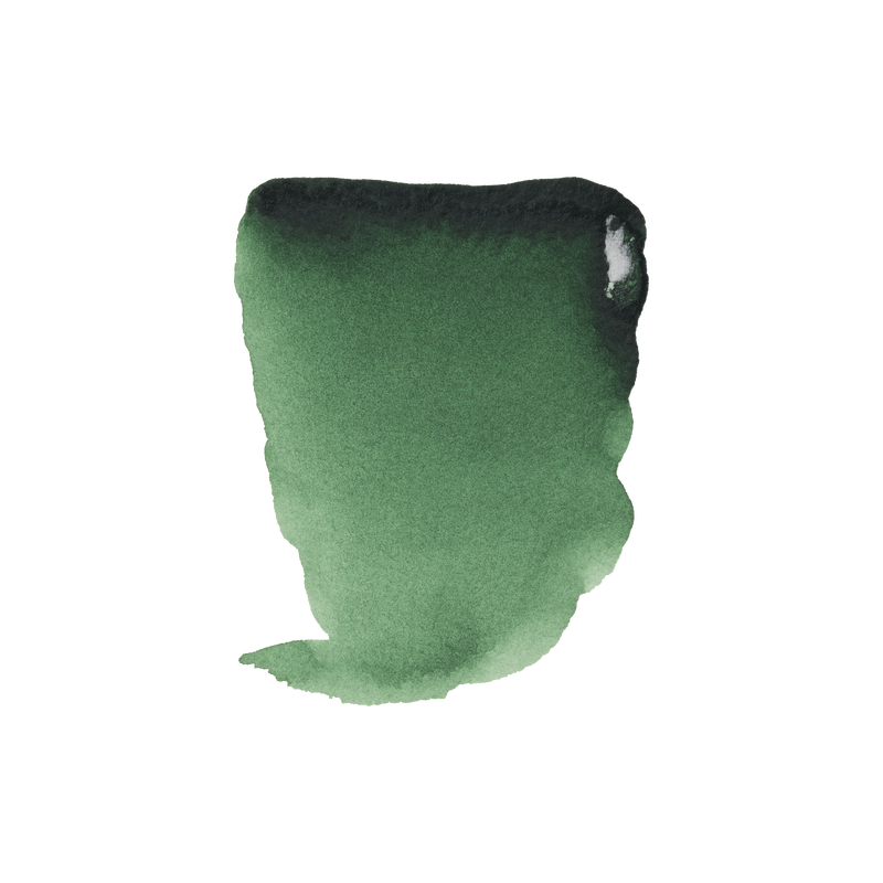 Watercolor Rembrandt 1/2 Godet Pastilla 1/2 Godet Series 2 No. 645Dark Hooker Green Color