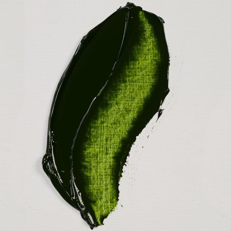 Rembrandt Oleo 40 ml serie 2 Color Verde Vejiga 623