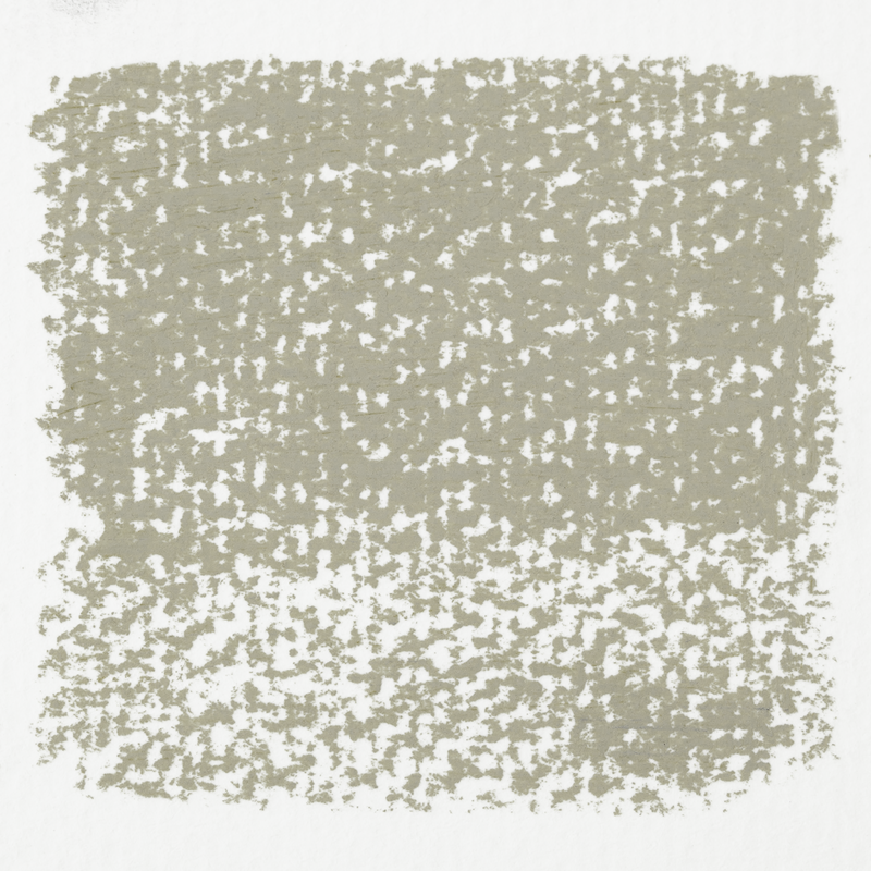 Soft Color Earth Pastel Natural Shade 408 10