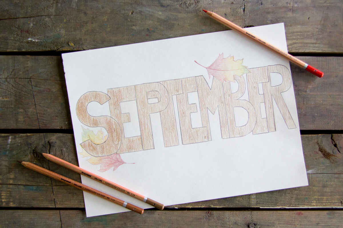 Bruynzeel Box of 36 colored pencils Expression Series