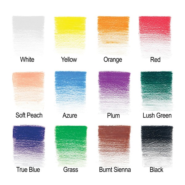 Winsor & Newton Caja de Lápices Lápices de color 12 lápices