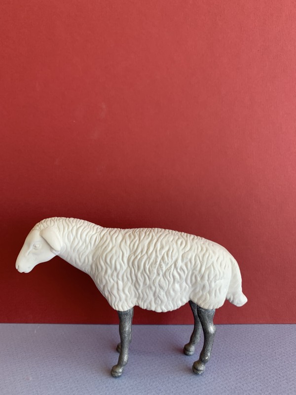 Sheep with lead legs