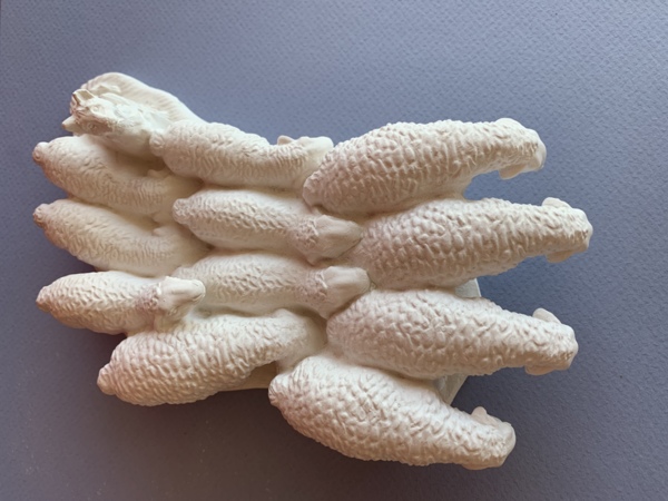 Flock of sheep 2