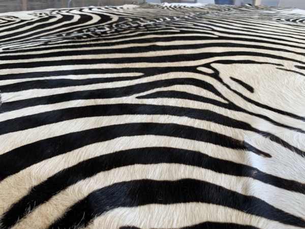 Zebra Effect Rug 214x188cm